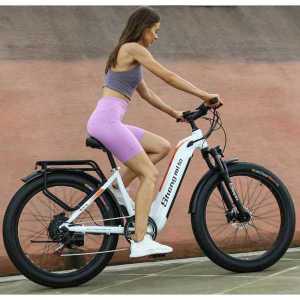 팻바이크 전기 자전거 26인치 제품 펫바이크 48V 자토바이