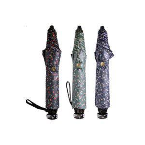 UN 우산 아놀드파마 오징어체리우양산