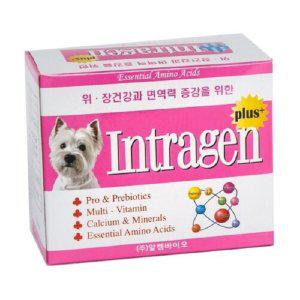 인트라젠 플러스 30개입 강아지 고양이 유산균