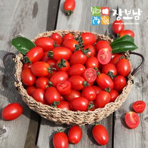 장보남   후기굿 대추방울토마토 대과 5kg