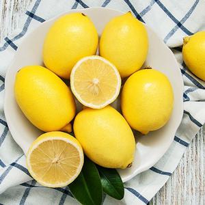 상큼한 정품 팬시 레몬 20개(개당 120g내외)