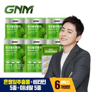  GNM자연의품격  GNM 징코빌로바11 6박스 (총 6개월분) / 은행잎추출물 비타민B 아연 판토텐산