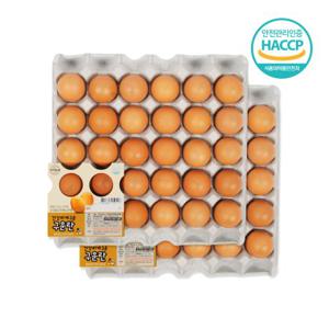  양지뜨레   양지푸드  구운계란 60구(30구x2판) HACCP인증 100% 무항생제 국내산 계란