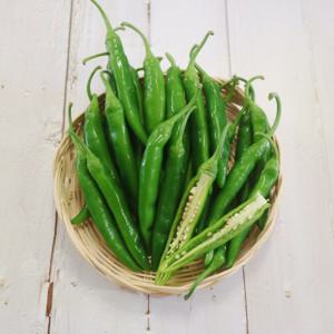 바르다야채 맛있게 매운 국내산 청양고추/특 500g