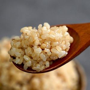 23년 햅쌀 무농약 현미 연천 아희와 쌀밥같은 찰진 현미쌀 6kg