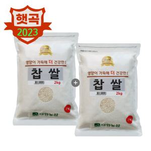  대한농산  23년 국산 찹쌀 4kg (2kg 2봉) / 햅쌀 잡곡 안전박스포장