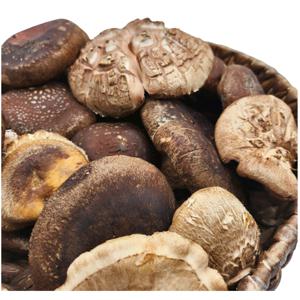 국내산 무농약 생표고 버섯 알뜰형 못난이 파지 1kg
