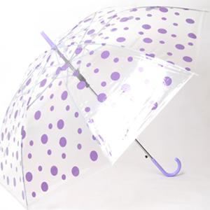  클라비스  클라비스  투명 도트 자동우산  아동우산 3단우산 이쁜우산 자동우산 장우산 대형우산 골프우산 튼튼한우산 접이식우산 