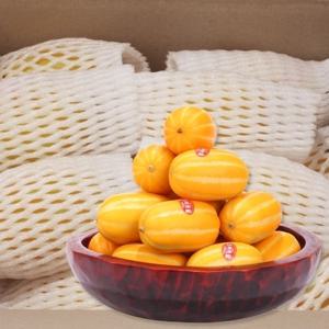 맛있는 성주참외 10kg 알뜰형 랜덤과 실중량 판매 당일수확 배송