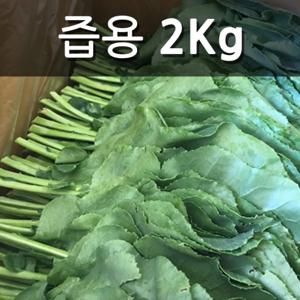  산지애뜰  친환경 유기농 케일 즙용 2kg