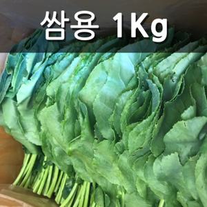  산지애뜰  친환경 유기농 케일 쌈용 1kg