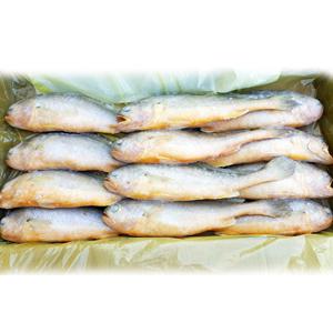  고래푸드  부세조기 1박스(12마리) 제수용 황금물고기