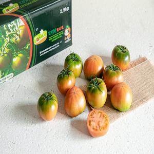토마토의 슈퍼스타 대저 짭짤이 토마토 1kg(2S S 사이즈)
