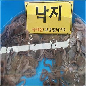 산지직송 고흥산 특대 뻘낙지 3마리 (1마리 150g이상 )