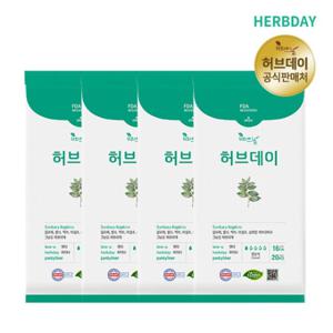  HIT AK몰  허브데이 생리대 팬티라이너 4팩 (80p) 공식판매처 최신제조일 빠른배송