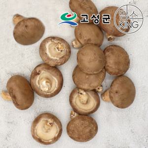  Hit AK몰  공룡나라 고성 웅이표고농장 생표고버섯(생표고 하품1kg)