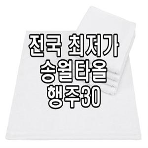  송월타월  송월타올 행주30 손타올 물수건 30x45cm 40g 회수건 행주 도매