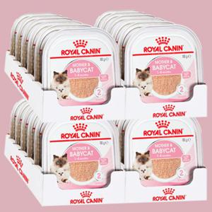  로얄캐닌  로얄캐닌 아기고양이 습식사료 주식캔 마더앤베이비캣 캔 100g x 24개
