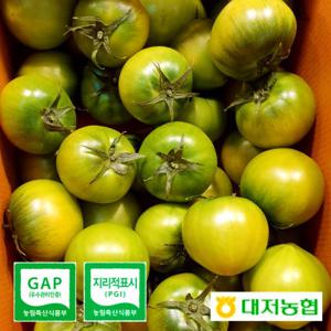 대저농협인증 부산 짭짤이 토마토 제철 짭잘이