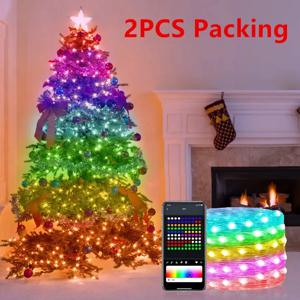 RGBIC LED 스트링 라이트, WS2812B RGB 요정 크리스마스 조명, 블루투스 USB 5V, 개별 음악 앱, 드림 컬러, 20m