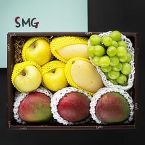 좋은하루 산지직송 특별한 과일 선물세트 A 애플망고 + 노란망고 + 샤인머스캣 + 황금사과, 3.45kg, 1세트