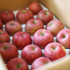 (15%쿠폰)빨간 사과 햇 부사 한입사과 2.5KG (12-18과) 스마일배송