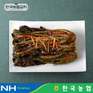 한국농협김치 전라도 순천 남도 갓김치 3kg