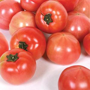 자연을 닮은 전라도 완숙 토마토 정품 5kg (3번과/중소과)