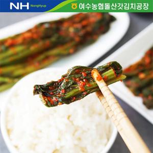 (HACCP/전통식품인증) 여수농협 여수 돌산 갓김치 5kg