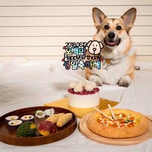 [오간식] 강아지 생일패키지 고양이생일상 케이크 수제간식 파랑