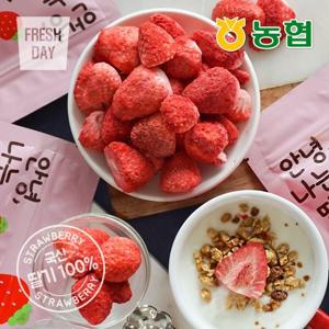 [농협] 생딸기그대로 동결건조 과일칩 나는딸기얌 12봉 (12g/봉)