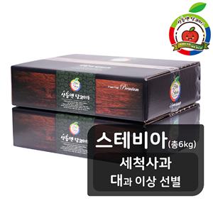 [스테비아 대과] 산들앤 스테비아 세척사과 2 box(총 6kg)
