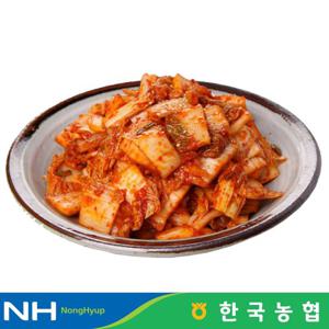 한국농협 마이산김치 국내산 막김치 3kg