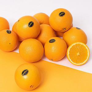[자연맛남 오렌지] 고당도 블랙라벨 오렌지 20과 중과