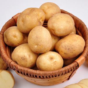 [푸르젠 감자] 24년산 포근포근 햇 감자 3kg (특)