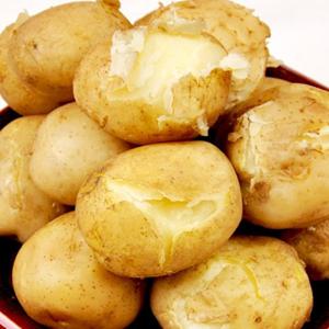 [푸르젠 감자] 24년산 포근포근 햇 감자 5kg (왕특)