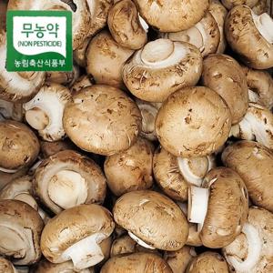 친환경 브라운 양송이 실속형 2kg 무농약인증 보령 청정지역 버섯