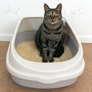 대형 고양이 화장실 사막화방지 배변통 변기 모래통 똥통