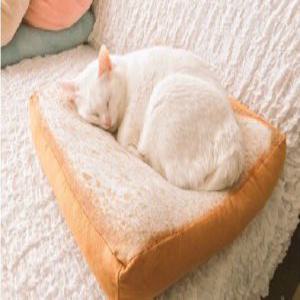 고양이빵방석 여름 꿀잠 푹신한 반려동물 수면 쿨매트
