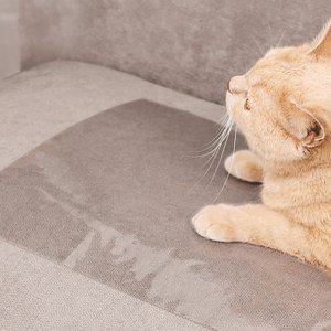 리클라이너 고양이 비닐 쇼파 커버 키우기 봄 천갈이 필름 4인용 스크래치 호시트지 벽지