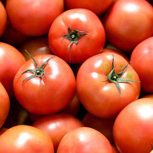 [농부마음] 완숙토마토 10kg 4-5번