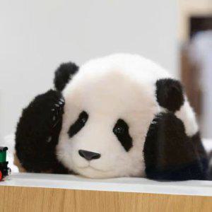 팬더 공장 푸바오 인형 6개월령 인형 귀여운 판다 복보 fubao 인형 기념품 키덜트