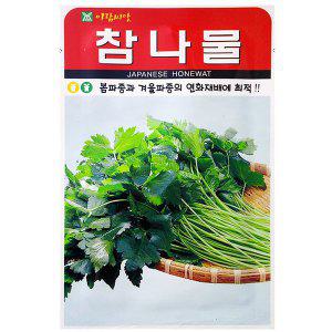 봄파종과 겨울파종의 연화재배에 최적인 참나물 씨앗 400g.