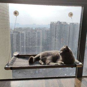 고양이 유리 흡착 창문형 해먹 매쉬 침대 선반 캣 타워 쇼파