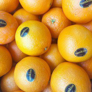 블랙라벨오렌지 썬키스트오렌지 캘리포니아 네이블 고당도 못난이 오렌지 17kg 10kg 18kg 72과 88과
