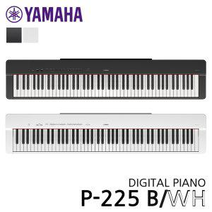 YAMAHA P-225 야마하 디지털 피아노 / P225 신모델