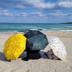 제주 UV 자외선 차단 자동 암막 양산 우산 튼튼한 우양산