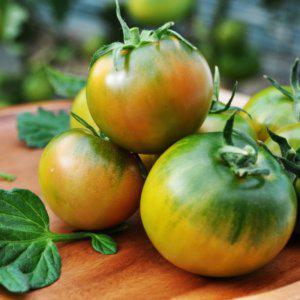 부산 대저 토마토 짭짤이토마토 1kg 2.5kg