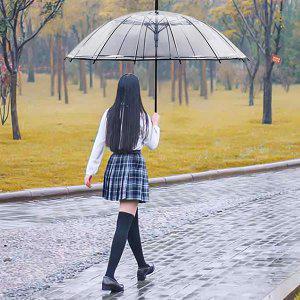 2개세트 원터치 투명우산 투명한 장우산