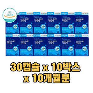 카로티노이드 루테인 지아잔틴 눈건강  30캡슐 10박스(10개월분) 50대 60대 부모님 건강선물
